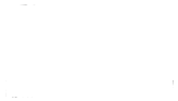 mock-19
